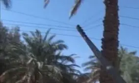 خسارت سی میلیاردی طوفان شن در ریگان + فیلم