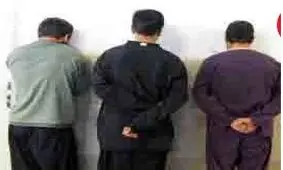 دزدان عجیب و غریب همدان بازداشت شدند
