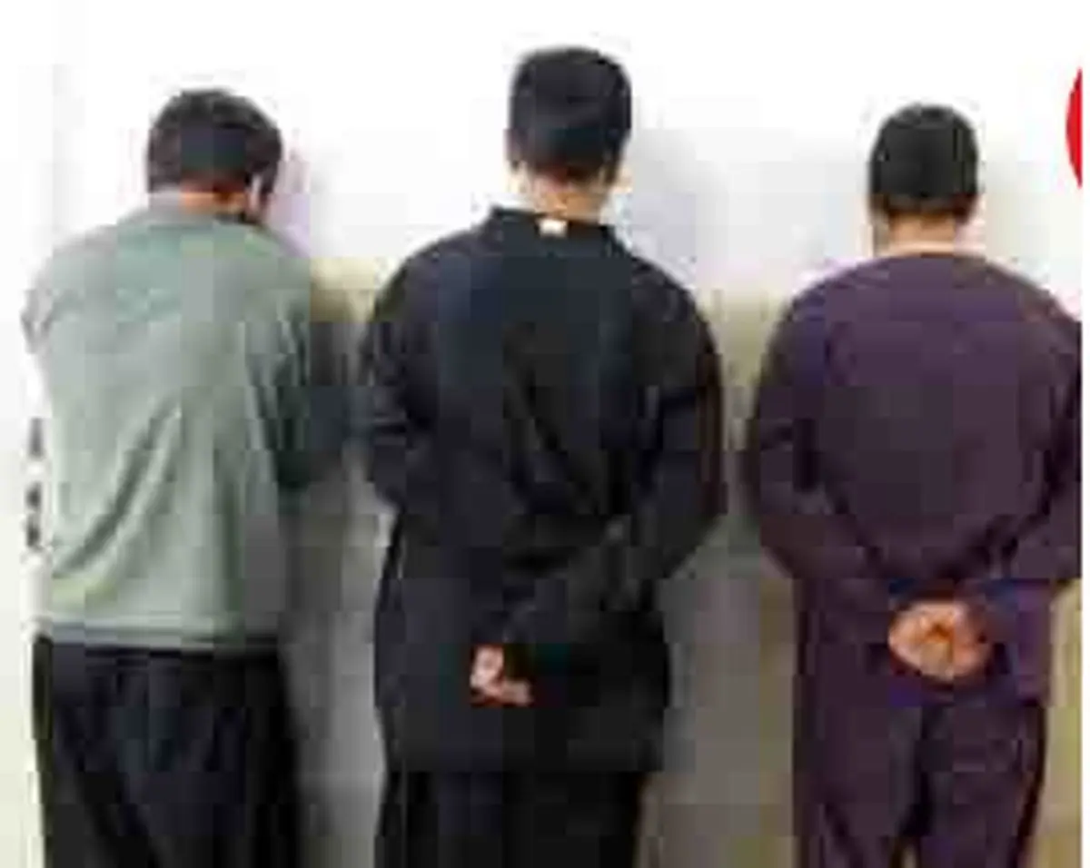 دزدان عجیب و غریب همدان بازداشت شدند