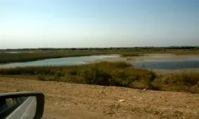 استاندار خوزستان: حق‌آبه هورالعظیم از آب کرخه تامین می‌شود