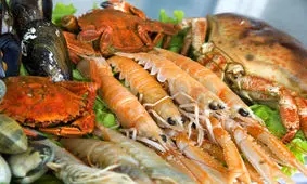 ماجرای استفاده از آبزیان حرام‌گوشت در کنسرو‌ها و رستوران‌ها از شایعه تا واقعیت