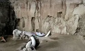 کشف مهیج پژوهشگران: انسان‌ها، ماموت‌ها را به قتل می‌رساندند!