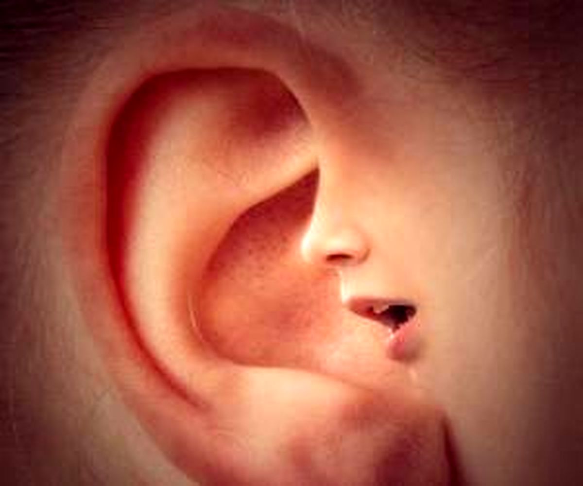 شخصیتشناسی از روی فرم گوش