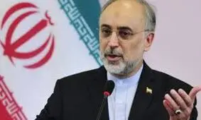 صالحی: خارج از چارچوب برجام عمل نمی‌کنیم / امیدواریم تا اکتبر آینده تحریم‌های تسلیحاتی نیز برداشته شود