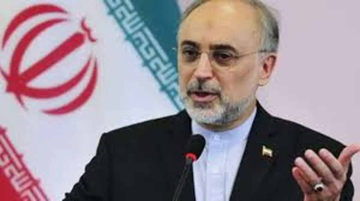 صالحی: خارج از چارچوب برجام عمل نمی‌کنیم / امیدواریم تا اکتبر آینده تحریم‌های تسلیحاتی نیز برداشته شود