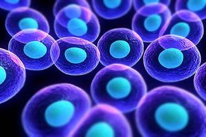 درمان بیماری‌ها با سلول‌های بنیادی برنامه‌ریزی‌شده