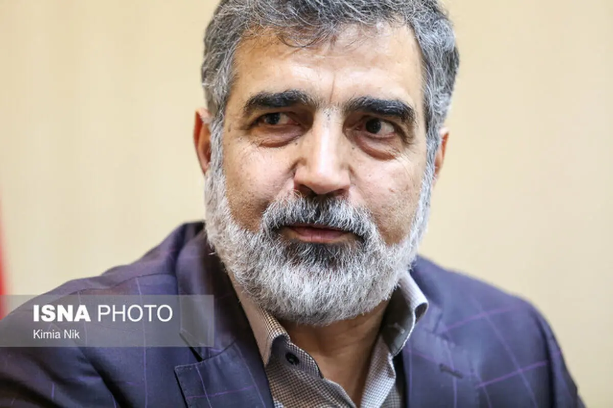 کمالوندی: واحد ۲ نیروگاه بوشهر سال ۱۴۰۴ به بهره‌برداری می‌رسد