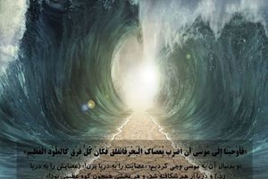 اعلام معجزه‌ای عجیب در نزدیکی قبر مطهر حضرت ابوالفضل