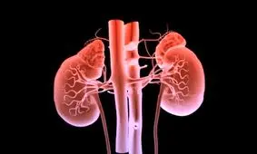 شایعات و حقایقی در مورد بیماری‌های کلیه