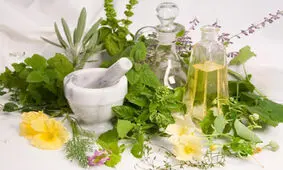 گیاهان دارویی مفید برای افزایش وزن