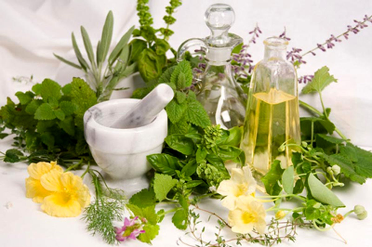 گیاهان دارویی مفید برای افزایش وزن