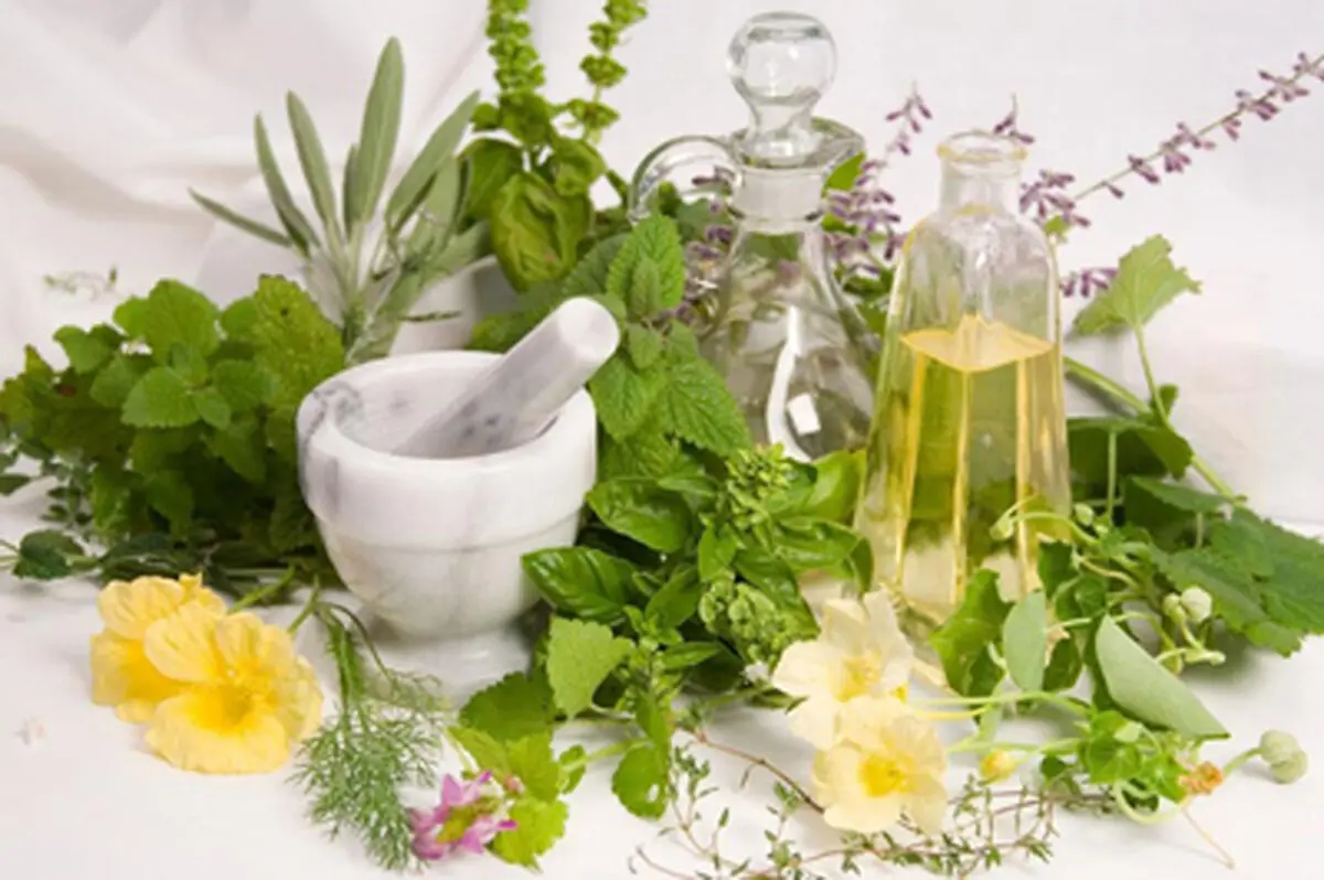 گیاهان دارویی مفید برای افزایش وزن
