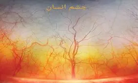 دنیا زیر میکروسکوپ چه شکلی است؟