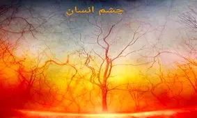 دنیا زیر میکروسکوپ چه شکلی است؟