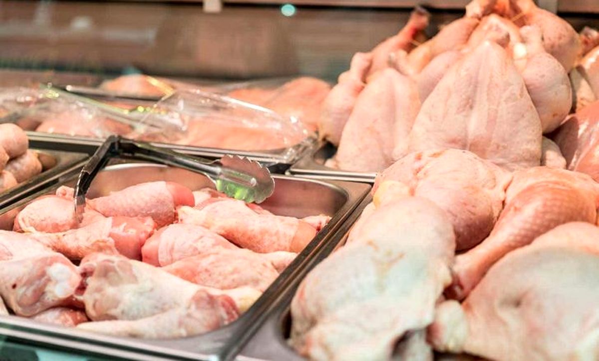 ثبات نرخ مرغ تا ۱۰ روز آینده ادامه دارد/ قیمت هر کیلو مرغ گرم ۱۲ هزار و ۴۰۰ تومان