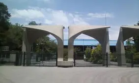 آزادی تعدادی از دانشجویان بازداشتی دانشگاه تهران/ رئیس دانشگاه: در حال پیگیری آزادی سایر دانشجویان هستیم