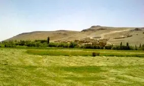 روستایی که با وجود یک نوع سوسمار به شهرت رسید + تصاویر