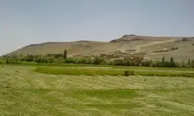 روستایی که با وجود یک نوع سوسمار به شهرت رسید + تصاویر