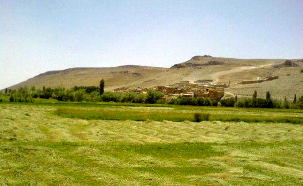 روستایی که با وجود یک نوع سوسمار به شهرت رسید + تصاویر