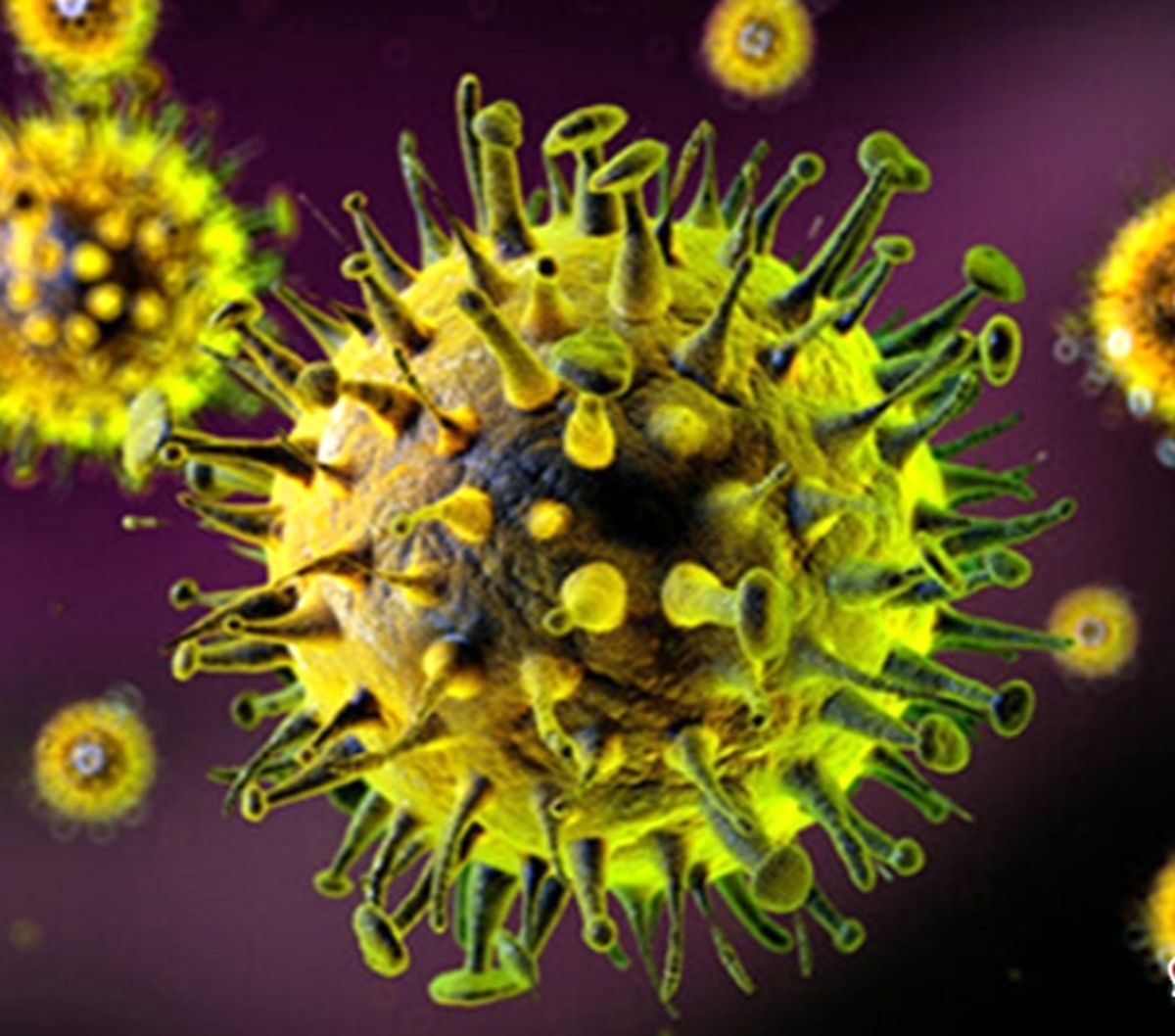 آیا باید در فصل پاییز واکسن آنفولانزا تزریق کنیم؟