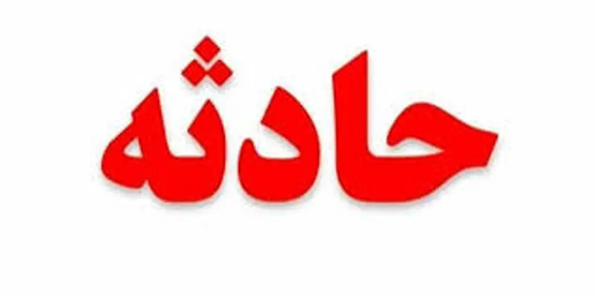 زن قربانی با ترفند سفارش پیتزا با پلیس تماس گرفت