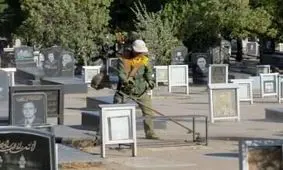 روزانه ۲۵ فوتی در تبریز به خاک سپرده می‌شوند