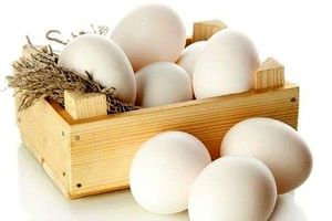 قیمت تخم مرغ پوسته سفید بسته بندی و غیر بسته بندی در غرفه های تره بار