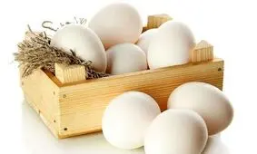 قیمت تخم مرغ پوسته سفید بسته بندی و غیر بسته بندی در غرفه های تره بار