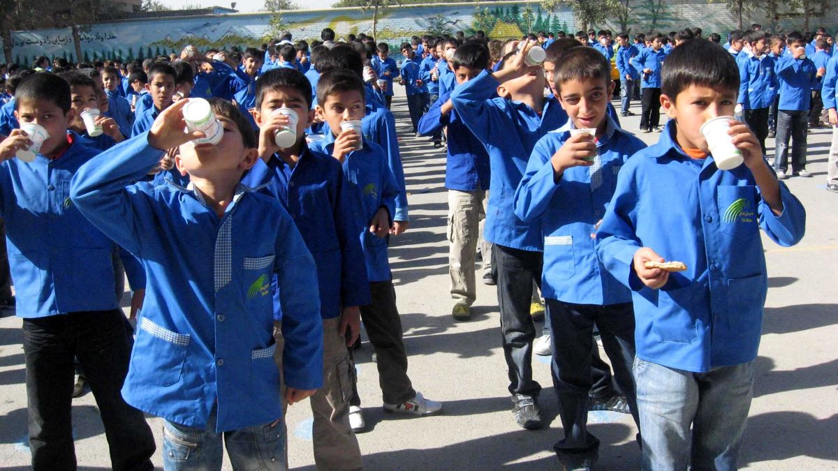 توزیع شیر رایگان مدارس پس از تاخیر دوساله