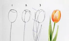 آموزش گام به گام رسم گل‌های زیبا به سبک هنرمند کره‌ای