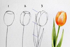 آموزش گام به گام رسم گل‌های زیبا به سبک هنرمند کره‌ای
