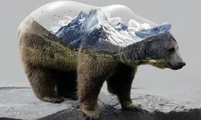 سورئال حیوانات با فتوشاپ+ عکس