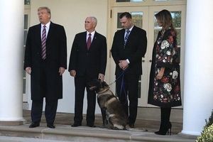 عکس| دونالد ترامپ و عالی‌ترین مقامات دولتش در مراسم تجلیل از سگی که بغدادی را به دام انداخت!