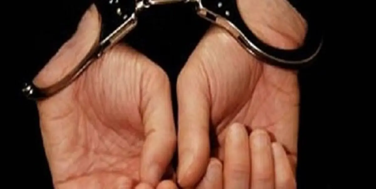 مدیرعامل سابق یک شرکت هلال احمر بازداشت شد