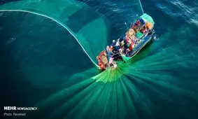 مسابقه عکاسی اپسون اینترنشنال ۲۰۱۹+ عکس