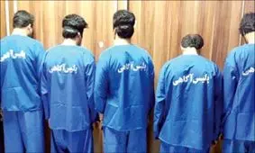 خفاش های طلایی شکار شدند