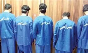 خفاش های طلایی شکار شدند