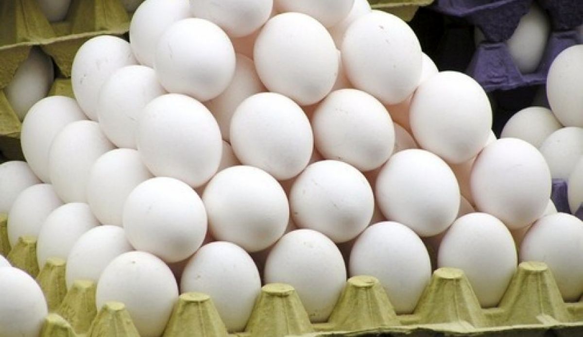 صادرات تخم مرغ متوقف شد/ قیمت هر کیلو تخم مرغ ۷ هزار و ۸۰۰ تومان