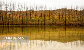 ایران زیباست؛ طبیعت ساری+ عکس