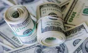 جزئیات دستگیری یک قاچاقچی ارز توسط وزارت اطلاعات