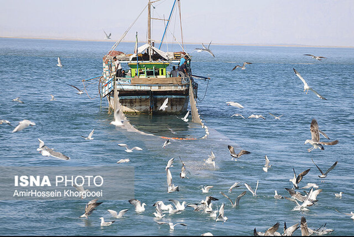 بازدید استاندار هرمزگان از روند صید میگو در خلیج‌فارس / عکس