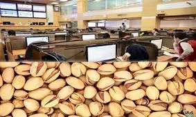 پایان معاملات سنتی پسته با عرضه بورسی