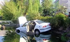 سقوط خودروی سواری در برکه پارک شهری