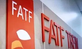 لوایح FATF همچنان بلاتکلیف/میرسلیم: دولت می‌تواند لایحه جدید بدهد