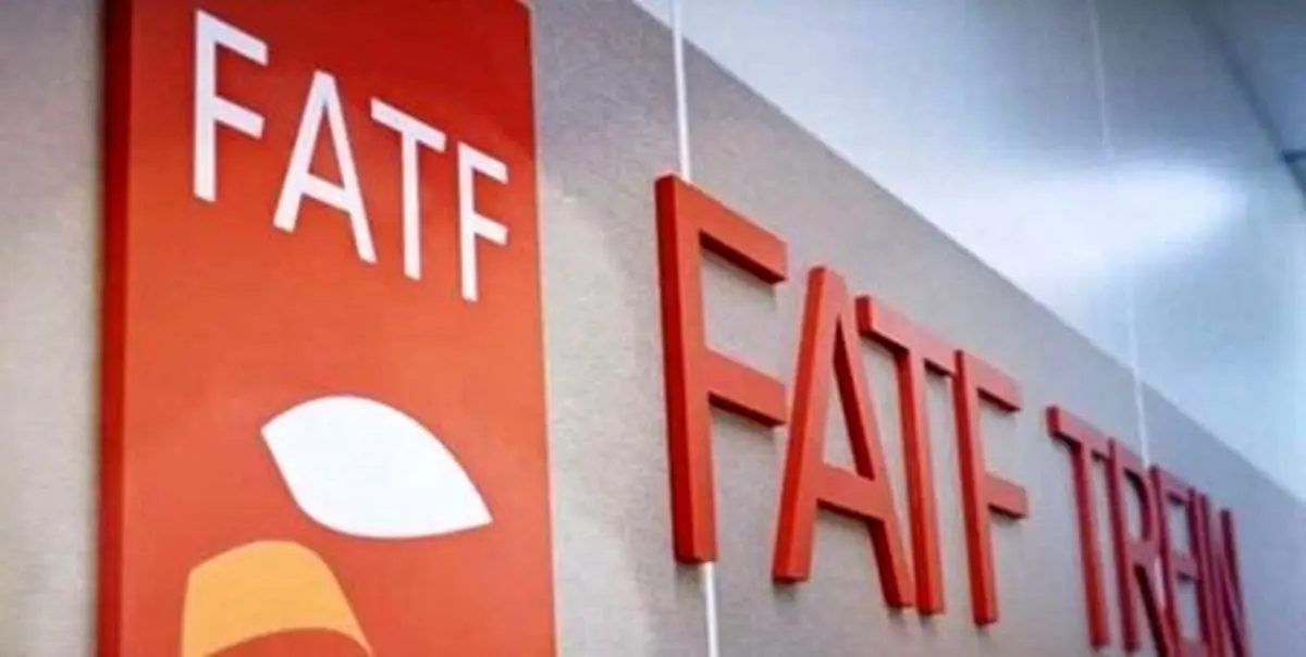لوایح FATF همچنان بلاتکلیف/میرسلیم: دولت می‌تواند لایحه جدید بدهد
