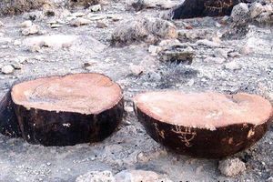 توقفِ انتقال سنگ‌نگاره‌های ۹۰۰۰ ساله 