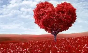 داستان‌های عاشقانه کوتاه، اما واقعی