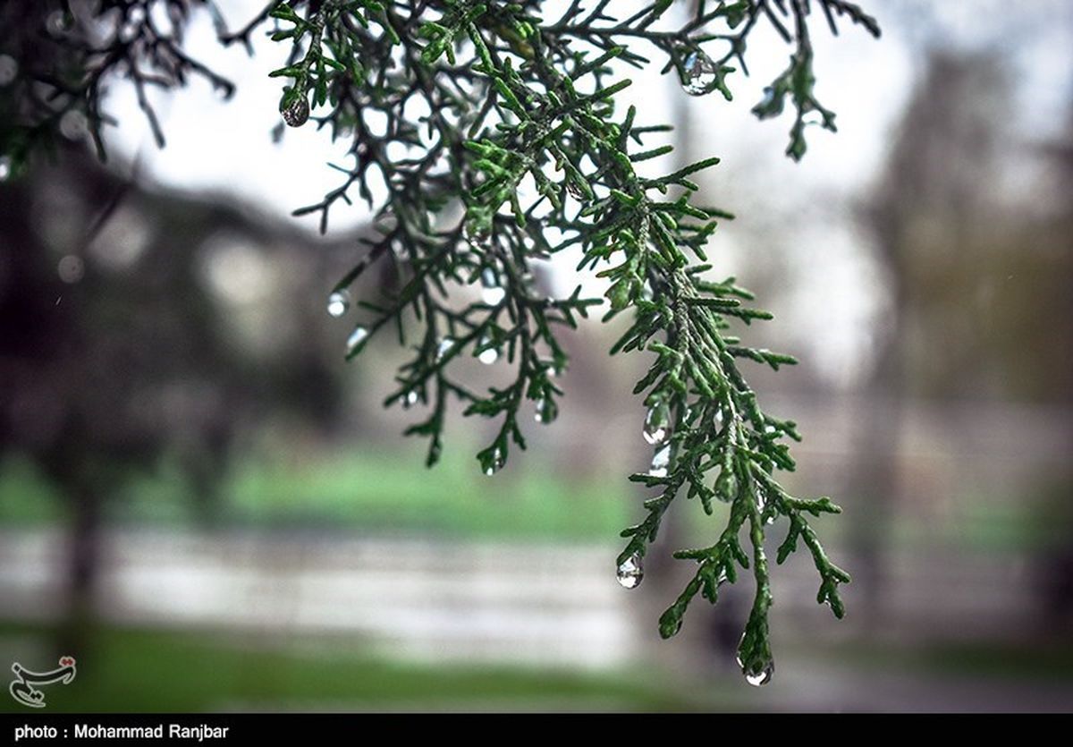 موجی ناپایدار از امشب آسمان استان کرمانشاه را بارانی می‌کند