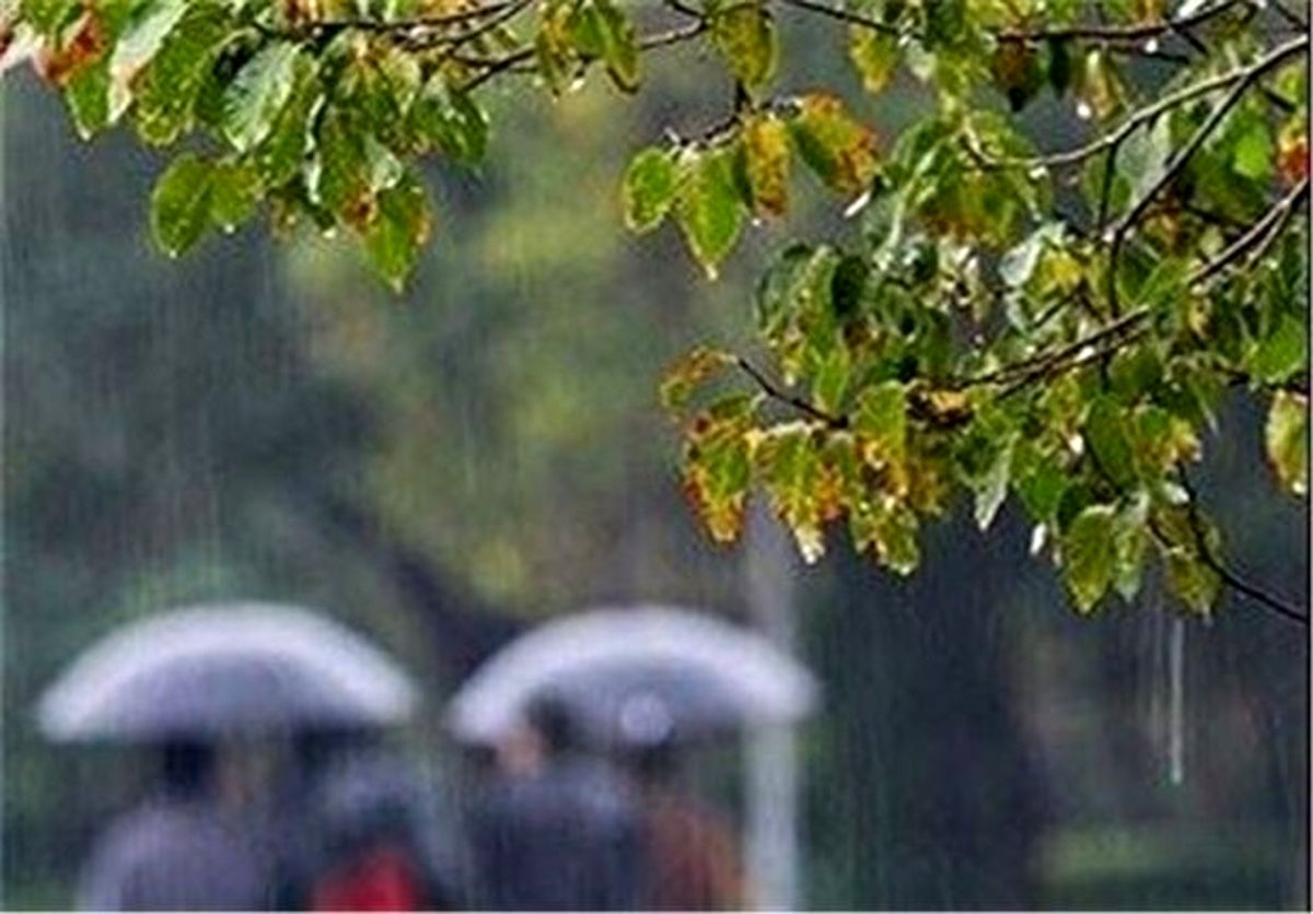جزئیات بارشها در لرستان/ ثبت بیشترین بارندگیها در پلدختر
