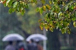 جزئیات بارش‌ها در لرستان/ ثبت بیشترین بارندگی‌ها در پلدختر